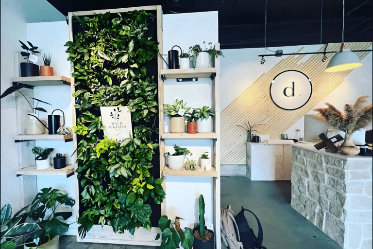 Commercial Property Shelving and Custom Design